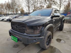 中兴1949 2023款 2.3T乘用版柴油自动四驱超豪华型标双