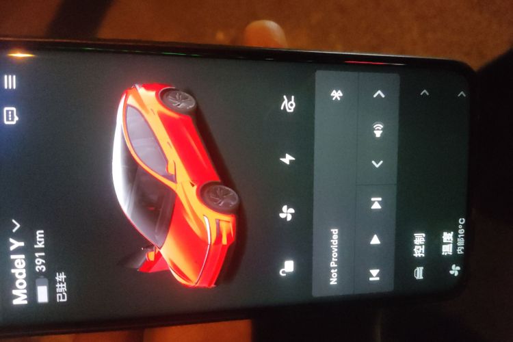 特斯拉 Model Y 2025款 改款 长续航全轮驱动版中控内饰11