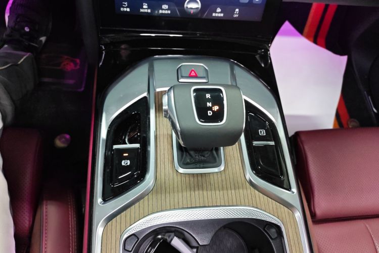 红旗E-HS9 2024款 690km 旗享版 六座局部细节18