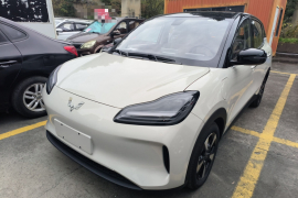 五菱汽车 五菱缤果PLUS 2024款 330km 五座版