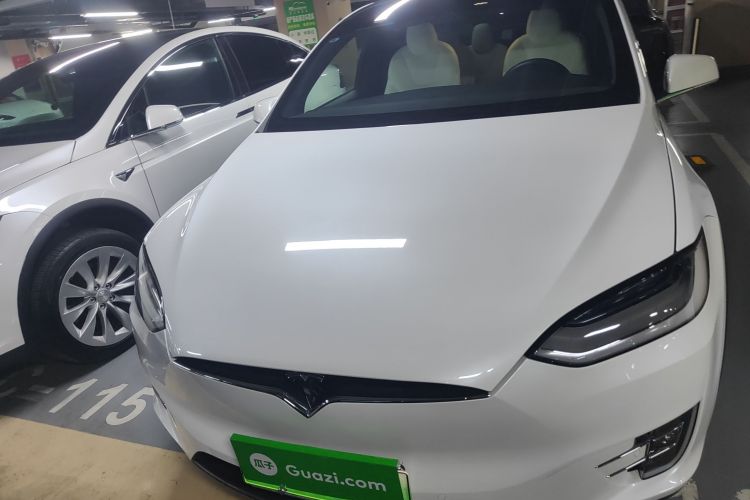 特斯拉 Model X 2019款 Performance 高性能版车身外观6001