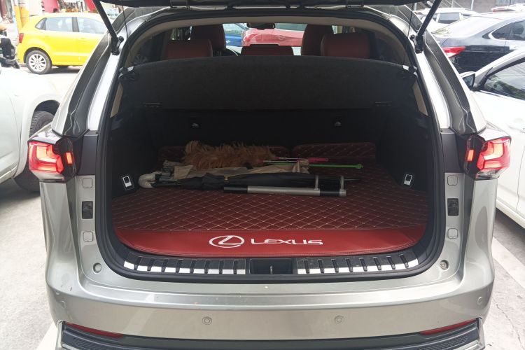 雷克萨斯NX 2020款 200 前驱 锋行版 国VI机舱底盘23