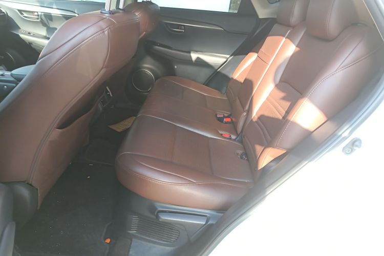 雷克萨斯NX 2020款 200 前驱 锋行版 国VI中控内饰21