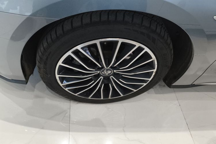 比亚迪 汉 2020款 DM 四驱性能版尊贵型车身外观6007