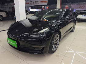 特斯拉 Model 3 2021款 Performance高性能全轮驱动版
