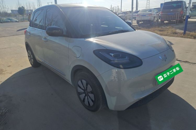 五菱汽车 五菱缤果 2024款 333km 悦享款车身外观3