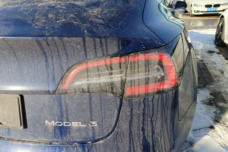 特斯拉 Model 3 2019款 标准续航后驱升级版车身外观6006