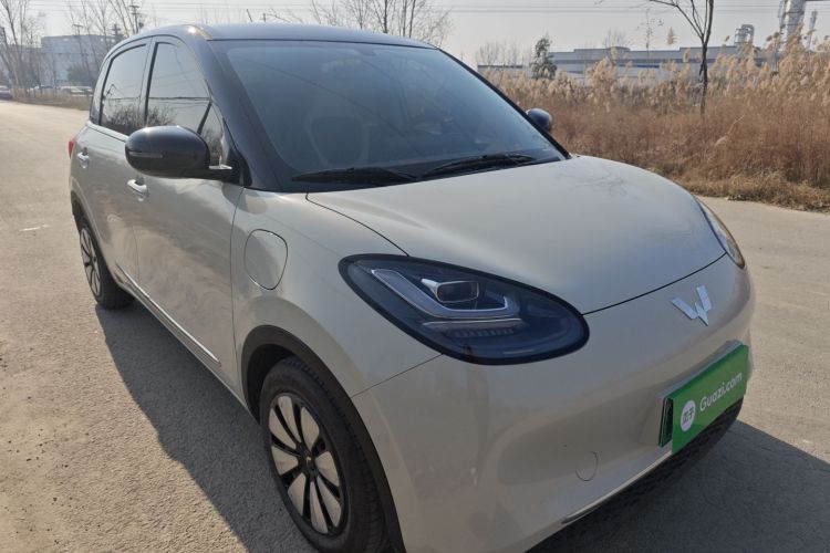 五菱汽车 五菱缤果 2024款 333km 悦享款车身外观3