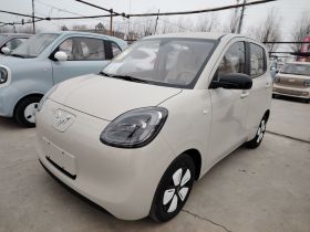 五菱汽车 宏光MINIEV 2025款 四门版 进阶款