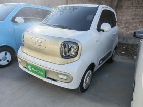 奔腾小马 2025款 222km 闪电马