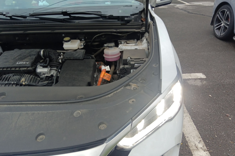 比亚迪 宋Pro新能源 2023款 冠军版 DM-i 71KM领先型局部细节9006