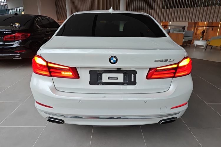 宝马5系 2019款 改款 525Li 豪华套装车身外观6004