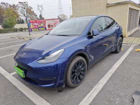 特斯拉 Model Y 2021款 长续航全轮驱动版