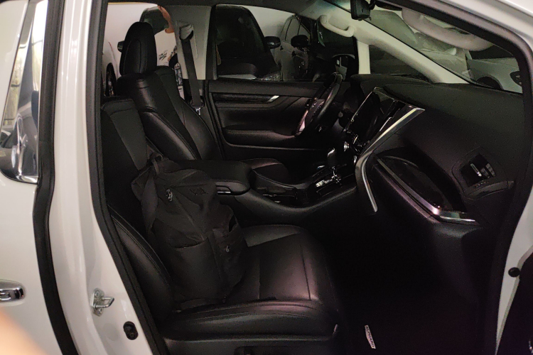 丰田 威尔法 2020款 双擎 2.5L HV豪华版局部细节41