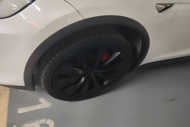 特斯拉 Model X 2019款 Performance 高性能版车身外观6007