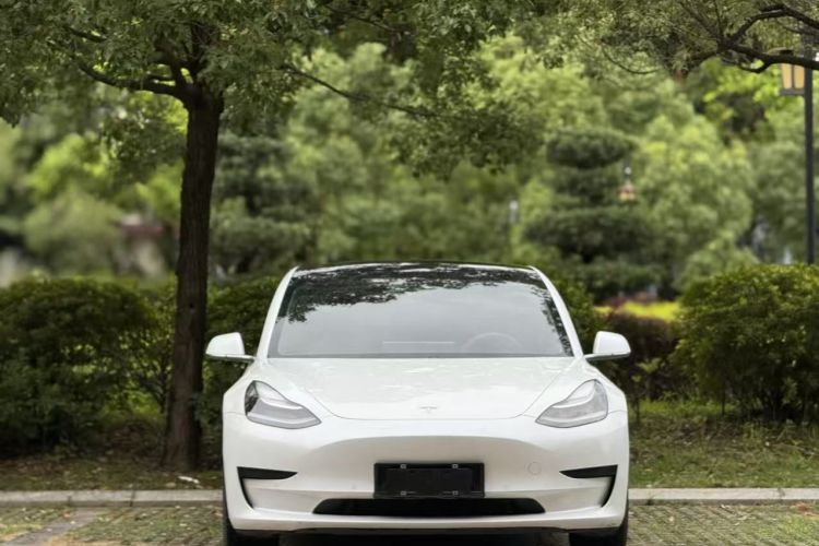 特斯拉 Model 3 2020款 改款 标准续航后驱升级版车身外观6001