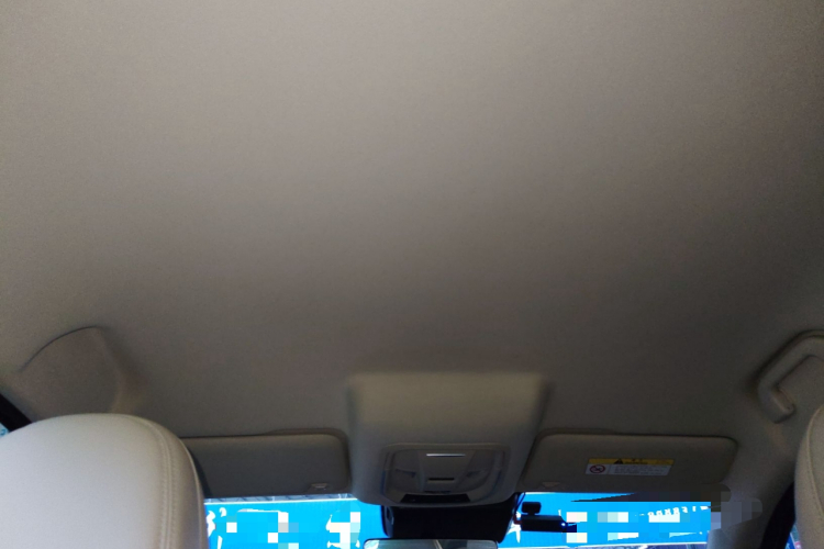 欧拉好猫 2023款 401km标准续航 豪华型 磷酸铁锂中控内饰22