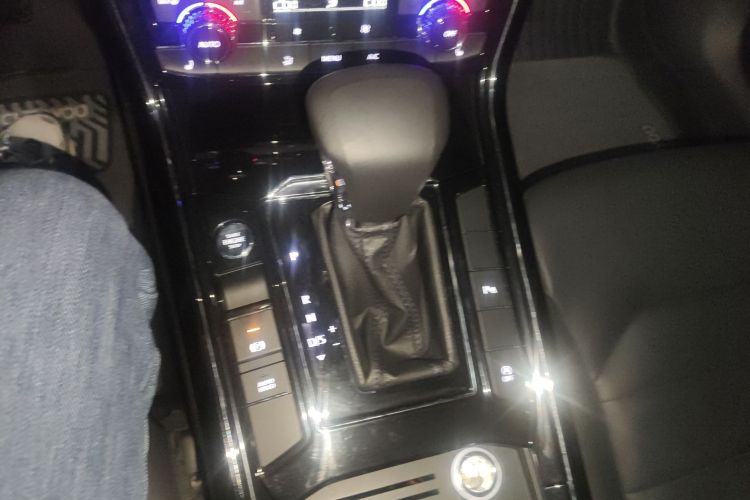 大众 辉昂 2019款 380TSI 两驱商务版 国VI局部细节18