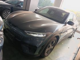 福特电马 2021款 跃世后驱版(标准续航)