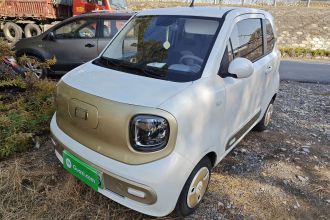 奔腾小马 2025款 222km 闪电马