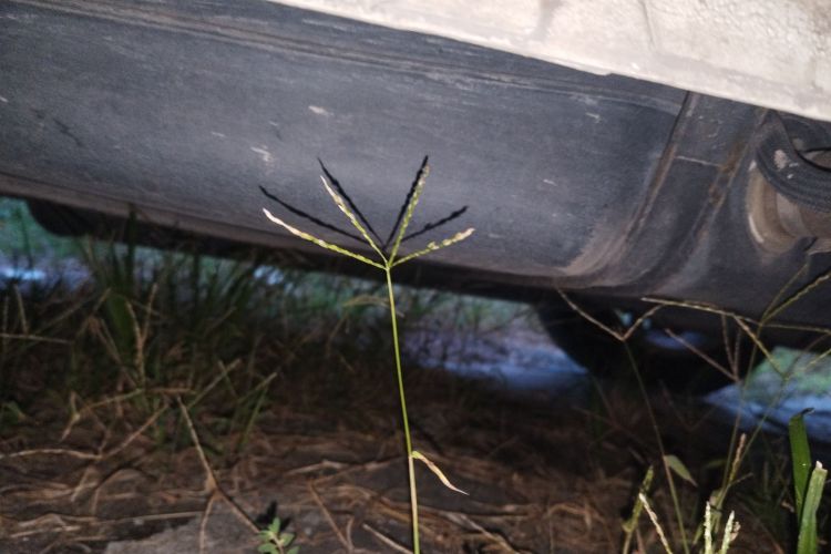 长安CS75 2016款 2.0L 手动豪华型 国V局部细节9003