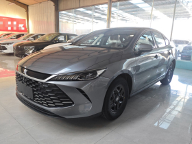 比亚迪 秦PLUS 2025款 DM-i 智驾版 55KM领先型