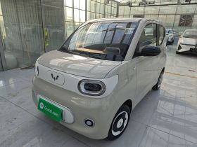 五菱汽车 宏光MINIEV 2024款 第三代 215km 青春版