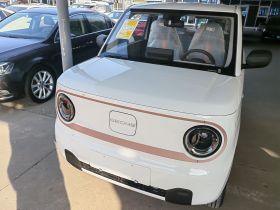 吉利银河 2024款 熊猫mini 200km 耐力熊