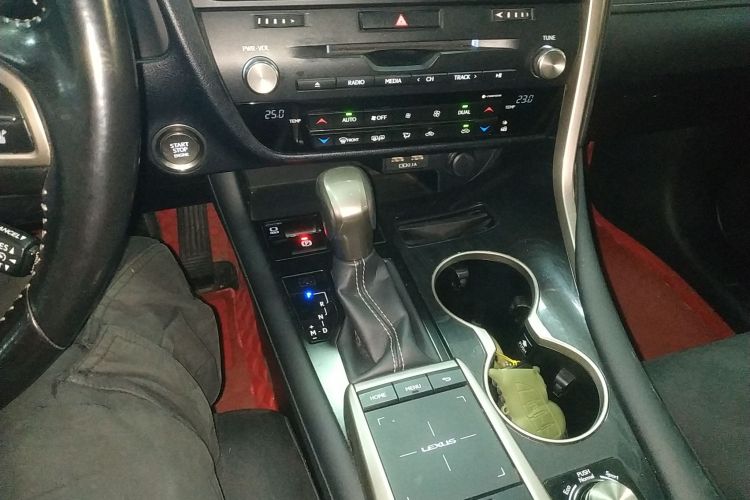 雷克萨斯RX 2020款 300 两驱精英版 国VI局部细节18