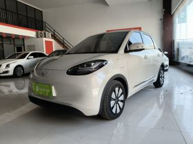 五菱汽车 五菱缤果 2023款 333km 灵犀互联款