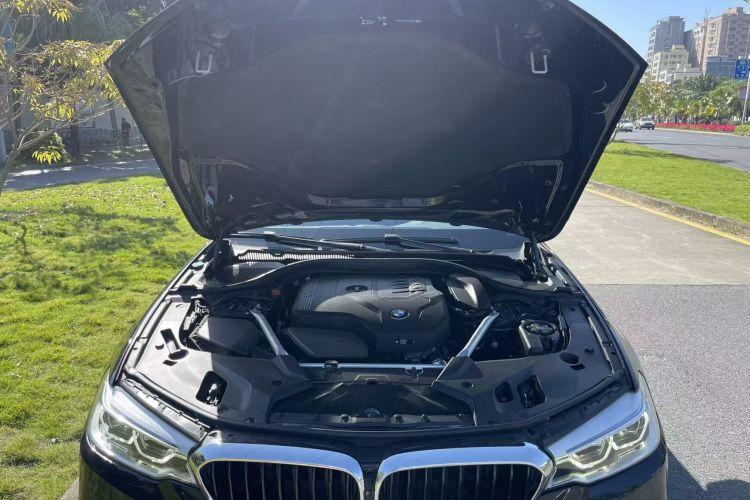 宝马5系(进口) 2020款 525i M运动套装机舱底盘24