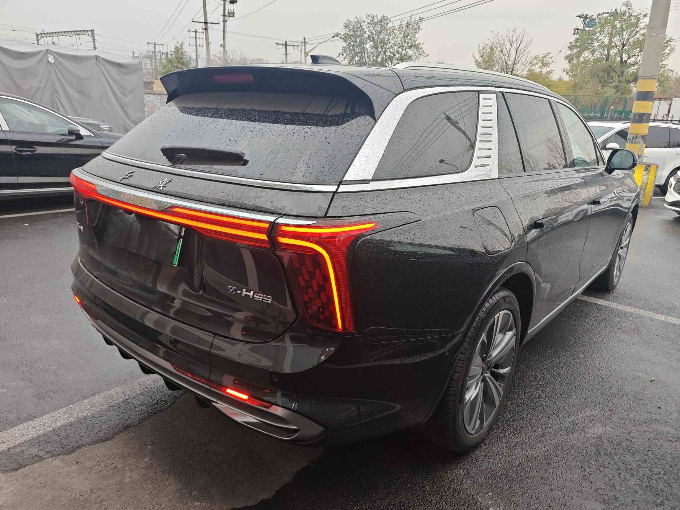 红旗E-HS9 2022款 690km 旗享版 六座(5)