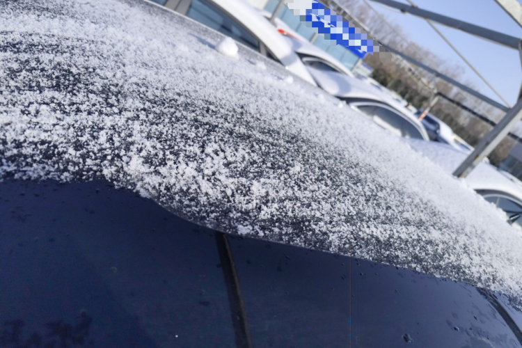 大众 朗逸 2024款 1.5L 自动五百万版局部细节57