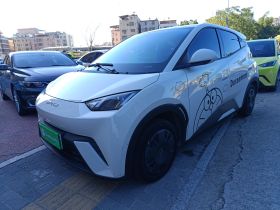 比亚迪 海鸥 2023款 活力版