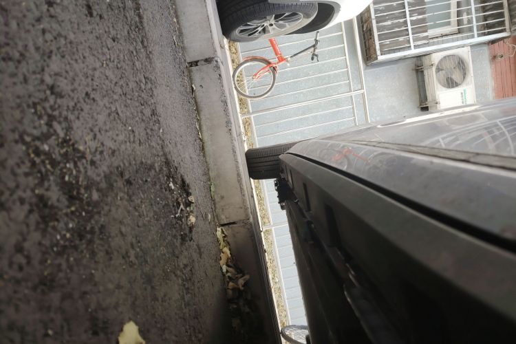 比亚迪 海豚 2023款 420km 自由版局部细节9001