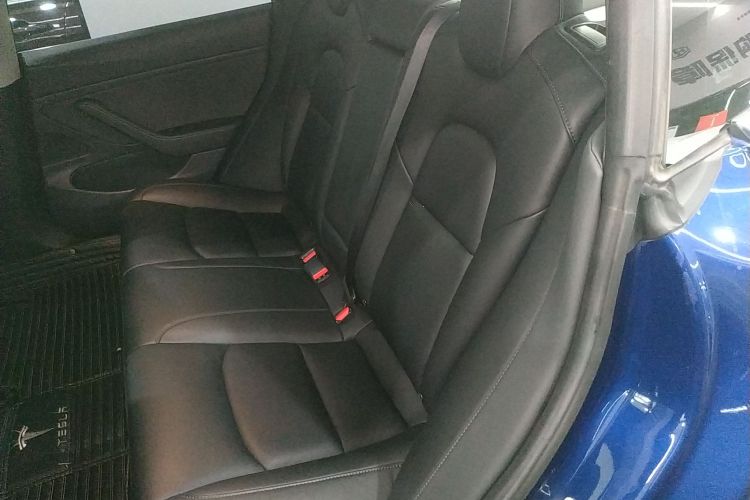 特斯拉 Model 3(进口) 2019款 长续航后驱版中控内饰21