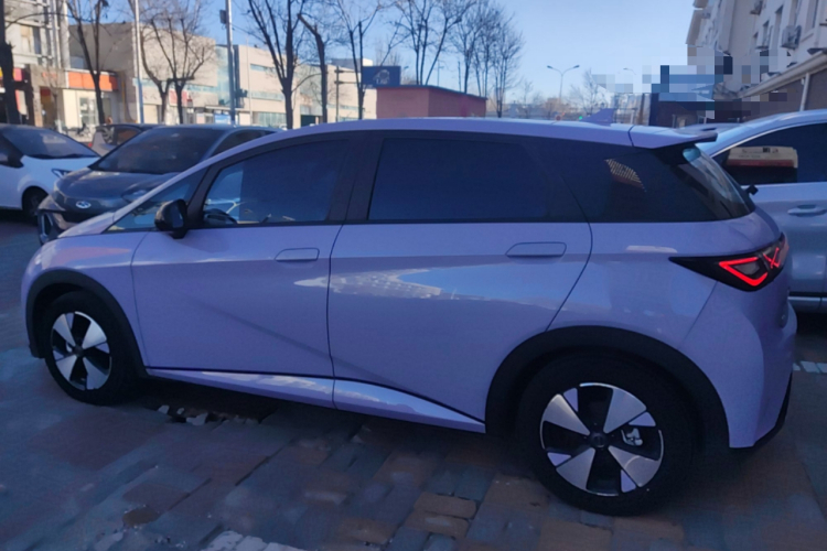 比亚迪 海豚 2023款 420km 时尚版车身外观4