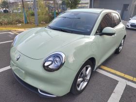 欧拉好猫 2021款 500km长续航 公务版 三元锂