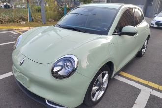 欧拉好猫 2021款 500km长续航 公务版 三元锂