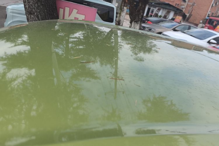 五菱汽车 五菱缤果 2023款 203km 舒享款局部细节57