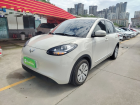 五菱汽车 五菱缤果 2023款 333km 快享款