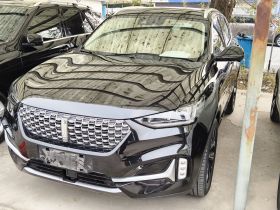 魏牌 VV6 2021款 2.0T 两驱智享+