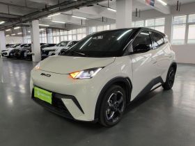 比亚迪 海鸥 2023款 自由版