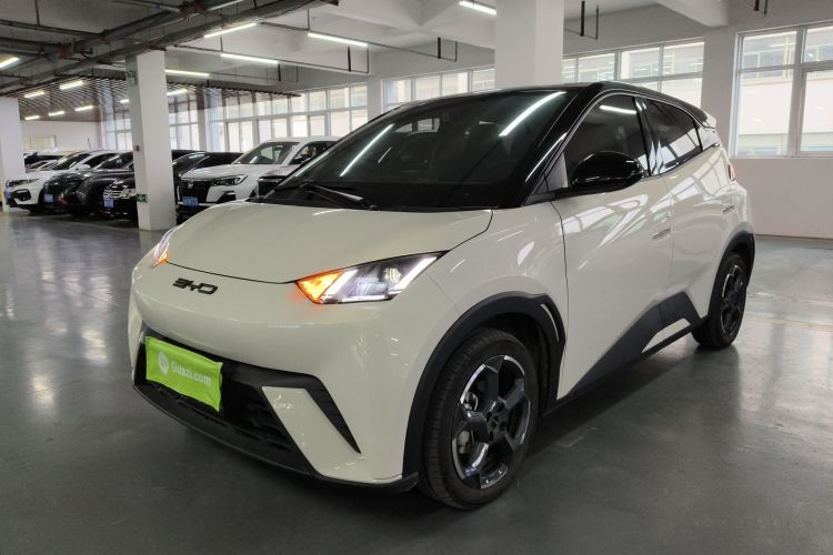 比亚迪 海鸥 2023款 自由版车身外观1