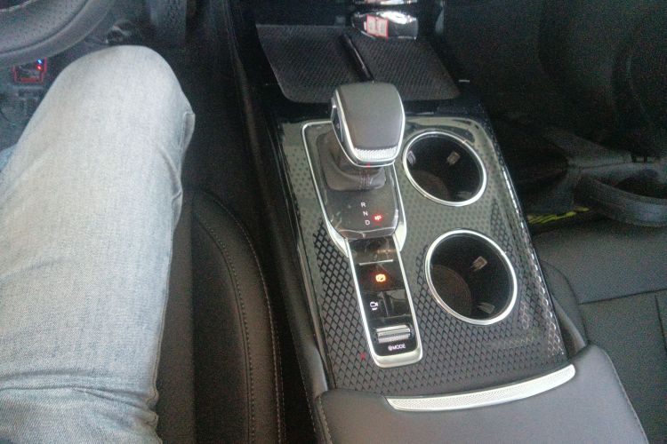 红旗HS3 PHEV 2024款 PHEV 115km 劲为版局部细节18