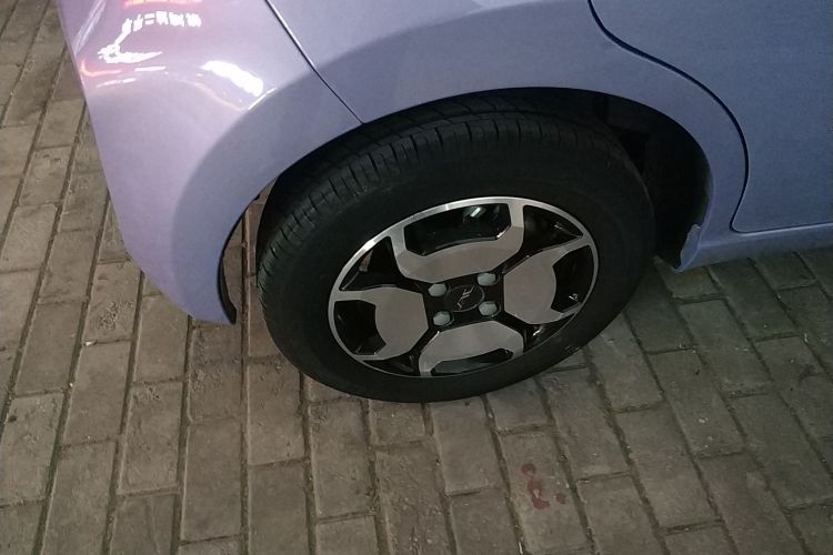 江淮钇为 钇为花仙子 2024款 挚爱版 301km Lite车身外观6008