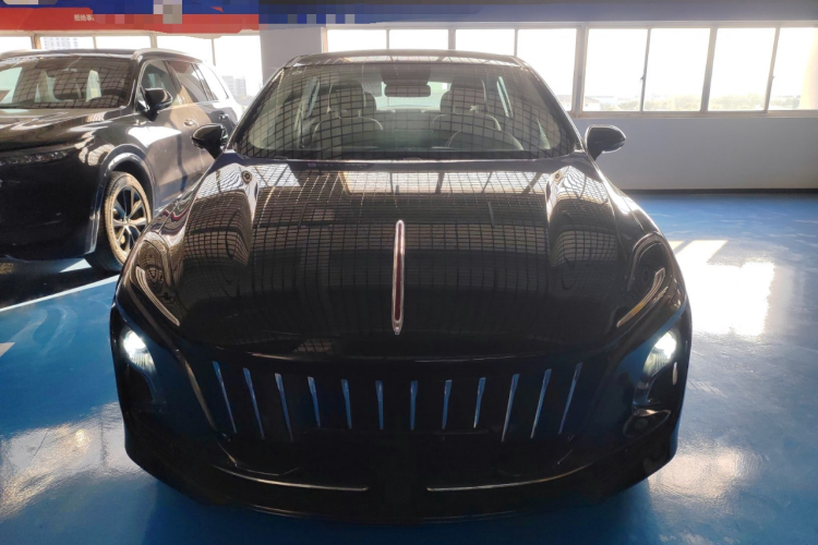 红旗E-QM5 2024款 450km 出行版车身外观6001