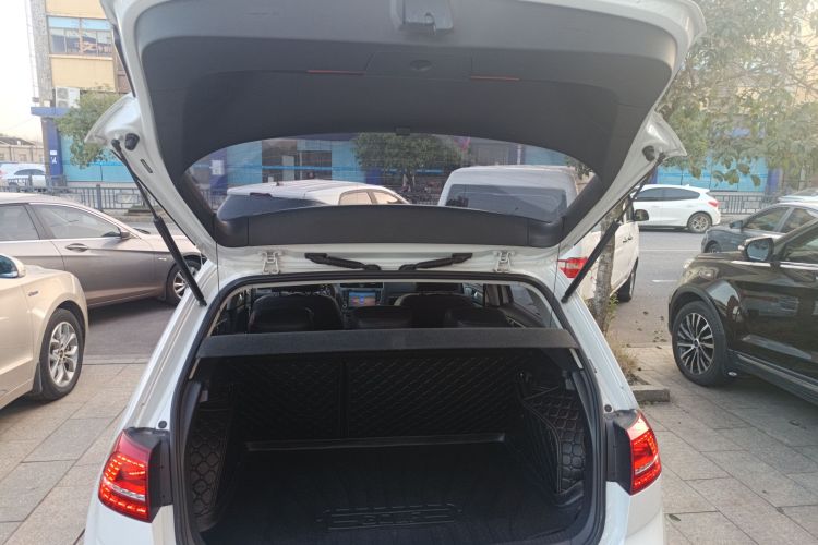 大众 高尔夫 2016款 230TSI 自动舒适型机舱底盘23