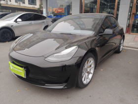特斯拉 Model 3 2021款 标准续航后驱升级版 3D6