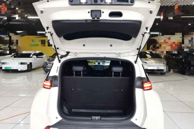 比亚迪 海鸥 2024款 荣耀版 305km 自由版机舱底盘23